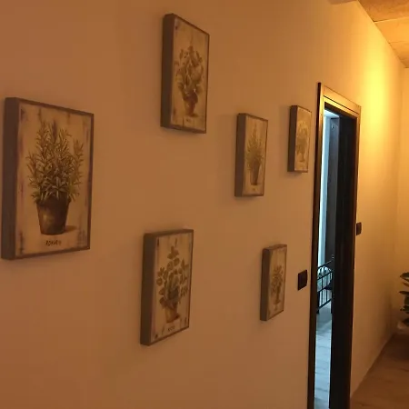 Dely Bed & Breakfast 4*