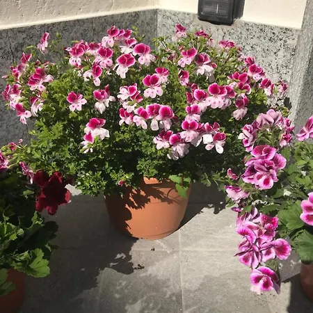 Dely ベッド・アンド・ブレックファスト