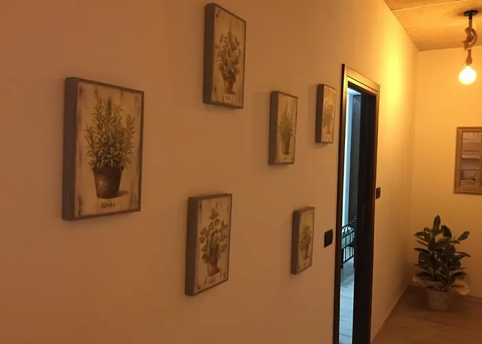 Dely Oda ve Kahvaltı 4*