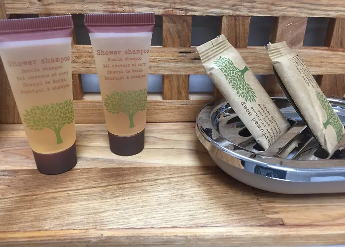 Dely Oda ve Kahvaltı 4*